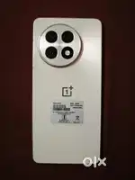 One plus 13R