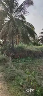 Jaware Gowda gree form