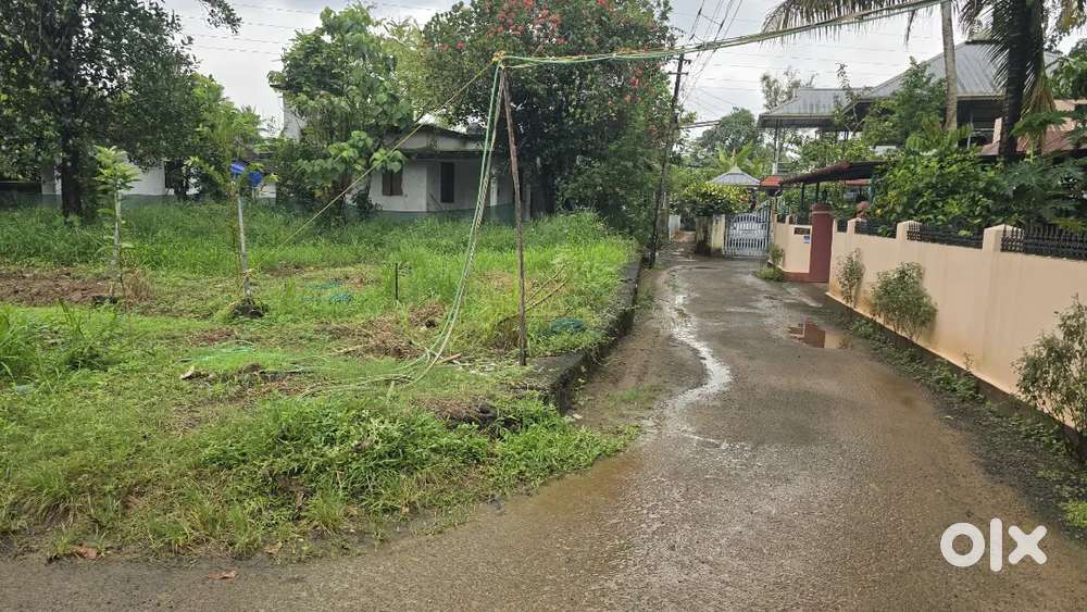 Nedumbassery near athani 9 cent house plot for sale immediately