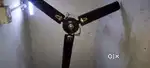 Ceiling fan