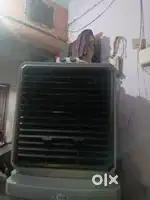 Coller in good condition