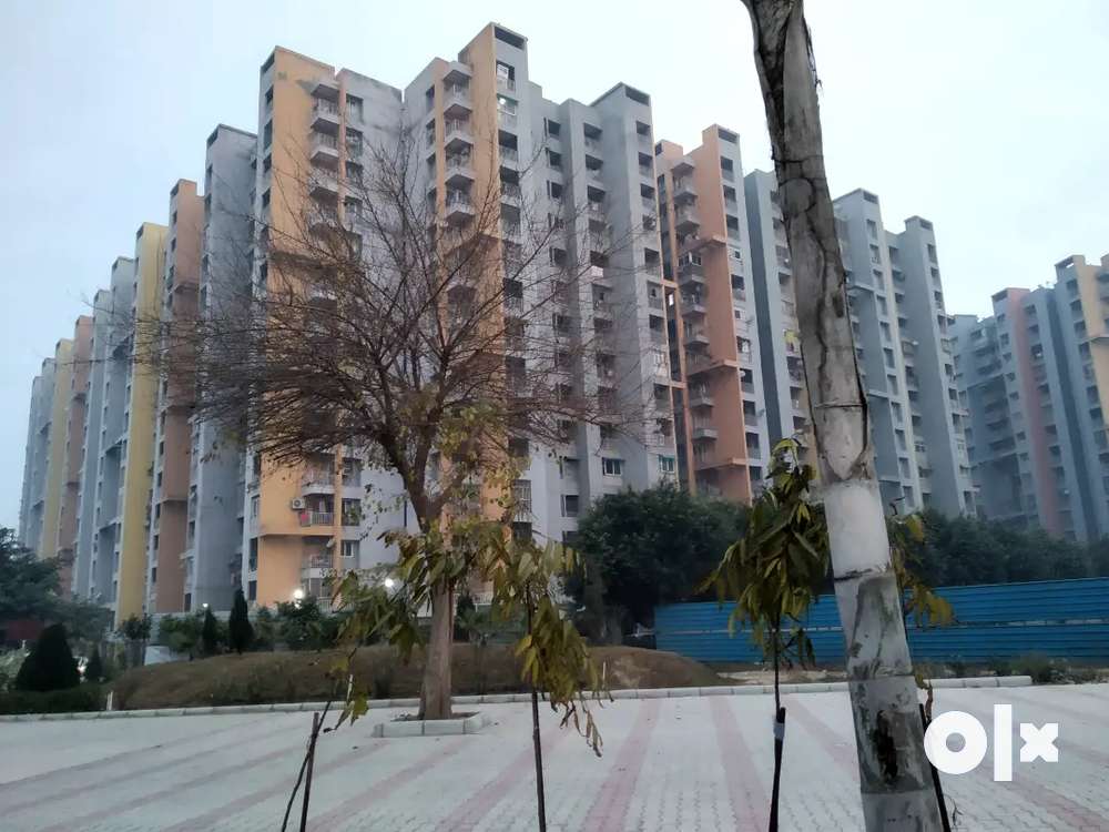 3 BHK 1550 Sq ft Flat Available for Sell in Bharat City@45 L