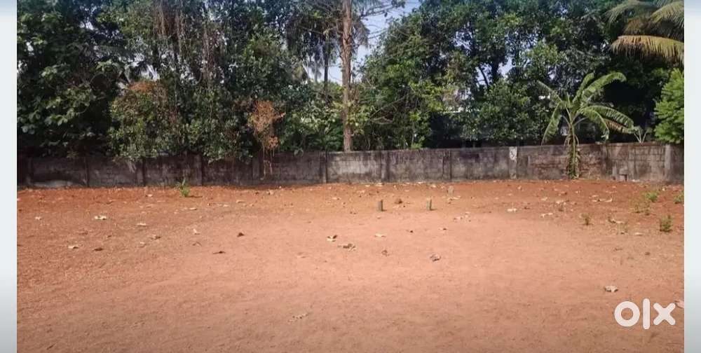 Thrissur puthanpalli 56 cent plot old house for sale per cent 27 lakh