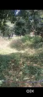Best plot for investment