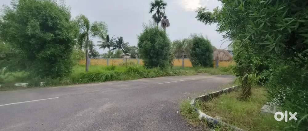 Corner north east facing plot,in peaceful locality.