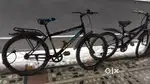 Stryder cycle