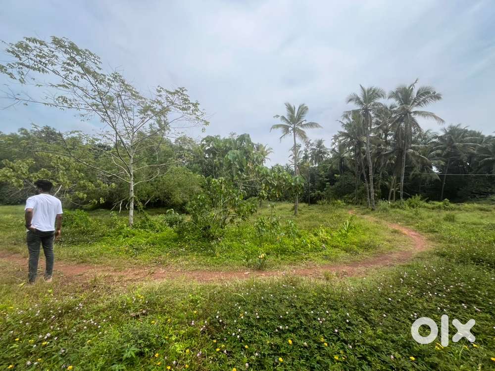 Near Talapady toll gate land sale 60 cents