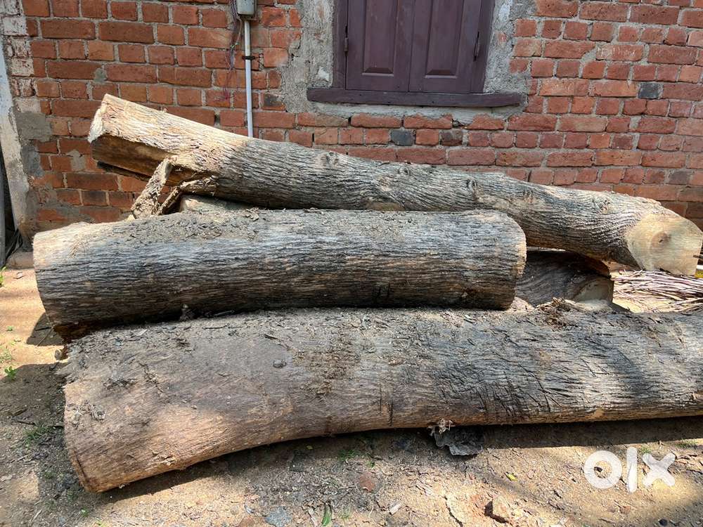 Teak wood kerala