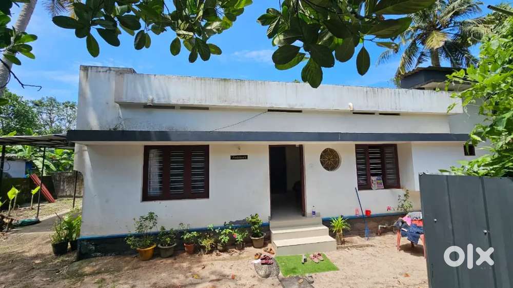 11.5 Cent plot with 4BHK Independant house for sale at Eravukadu