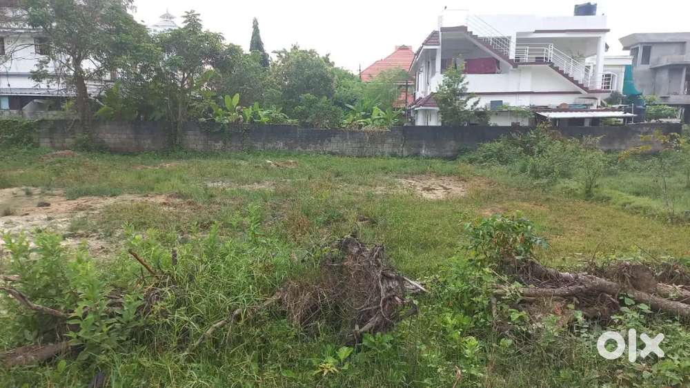 1 km from vyttila hub