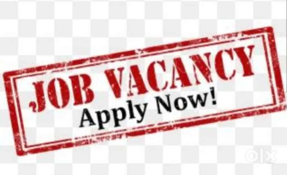 Vacancy for Sales Executive