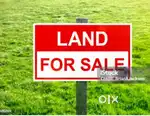 Maydi land