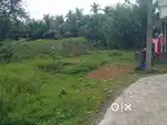 5 cent orginal land purayidam