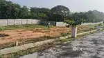 Premium and Budget Plots