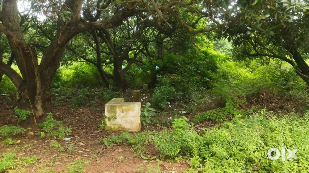 Plot sale near sakshi office,madhurawada