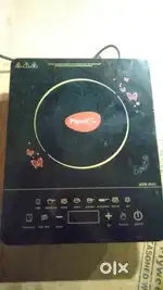Pigeon induction electric chulha