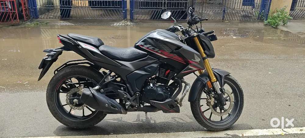 Hornet 2.0 2025 Model