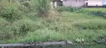 200 gaj registry plot pleacefull area me hai, garhwali colony hai