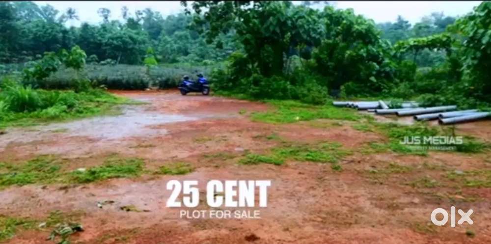 Good residential plot with pucca vasthu natural beauty for urgent sale