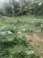 Thrissur kuttanallur highlight mall near 6 cent plot for sale