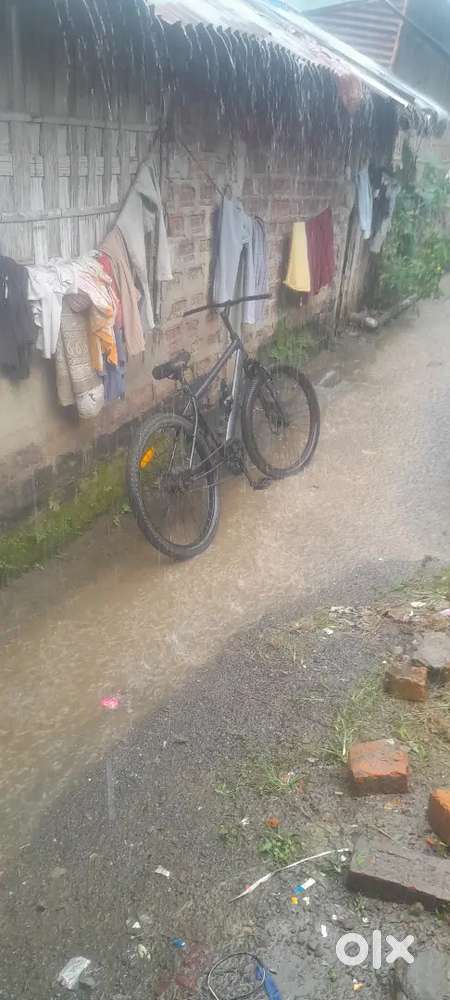 3 cycal new