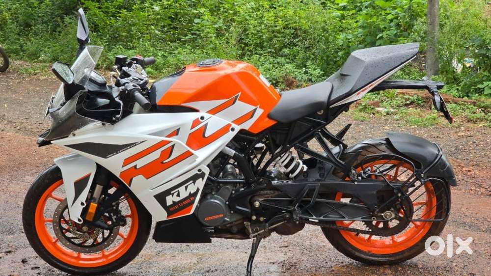 orange white combination