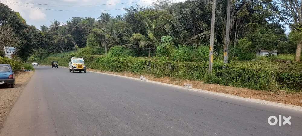 64   cent building site in Manathavady