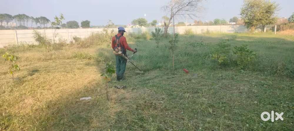 Plot for sale मौके पर मान तान किया जाएगा आके देखें