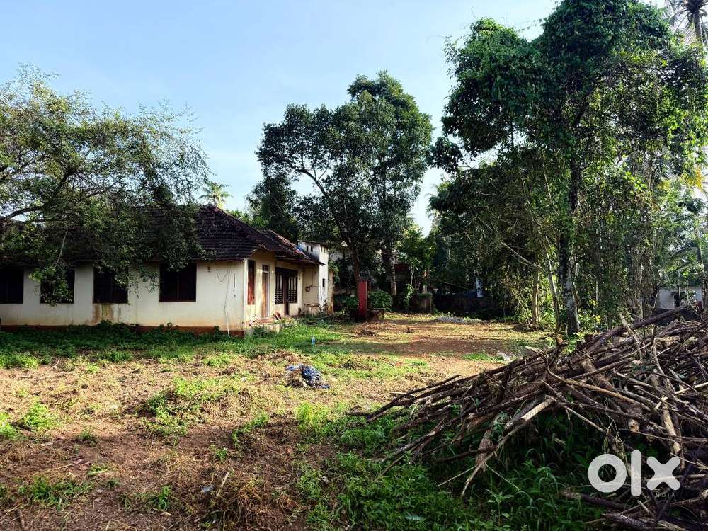 21 Cents Residential Land Plus House For Sale in Kallumala