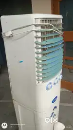 Cooler Speedo Company (Good Condition)