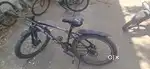 A One Sport Cycle