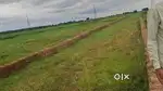 Pitapalli project near nh16