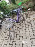 Avon lady cycle