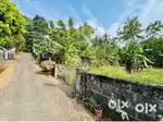 12.5 cent land for sale Kakkanad navodaya