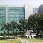 Urgent hiring Cipla private limited company