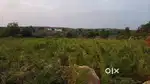 2.15 Acres Agriculture land for sale,Canal Road BIT