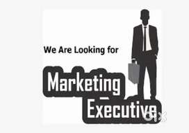 MARKETING EXECUTIVE (PRO)