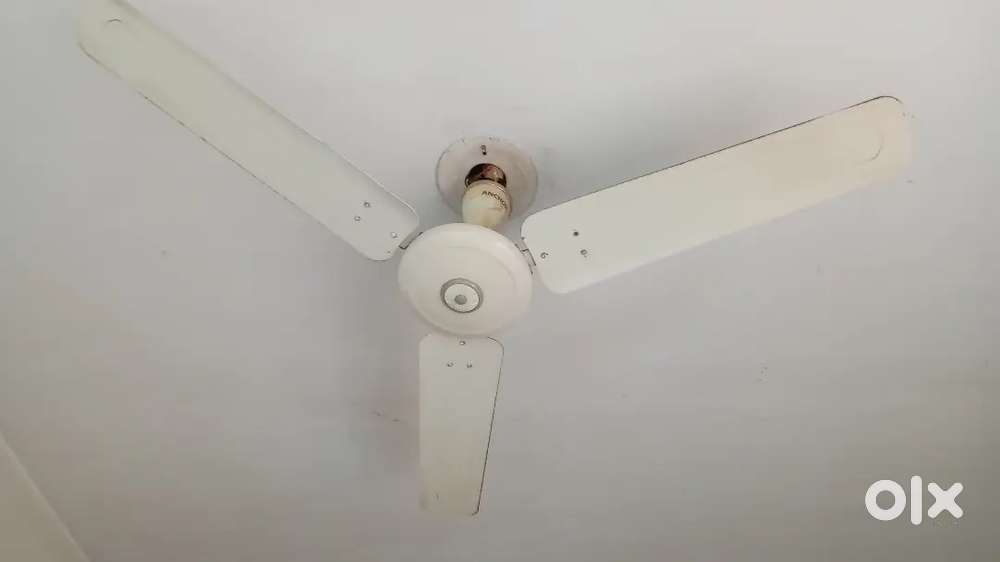 Fan working 13month old only