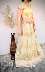 Lehenga Choli / ghagra Choli /bridal lehenga