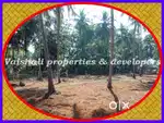 15 cents Plot @ 11 lacs per cent near Kuthiravattom