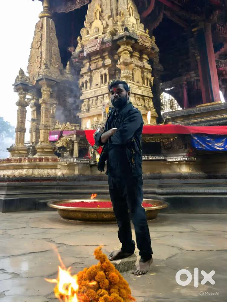 Licensed driver only monthly salary period