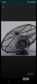 Cinni cavin fan 4 belad