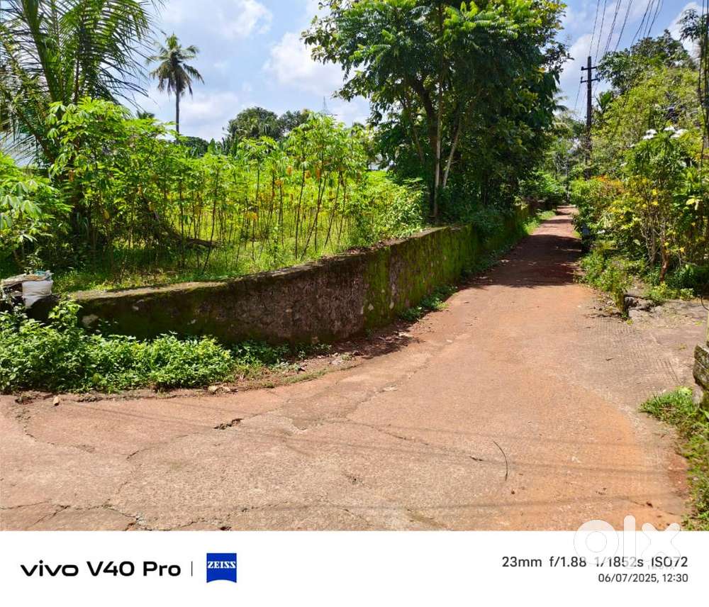 URGENT SALE, ITHITHANAM, CHANGANASSERY