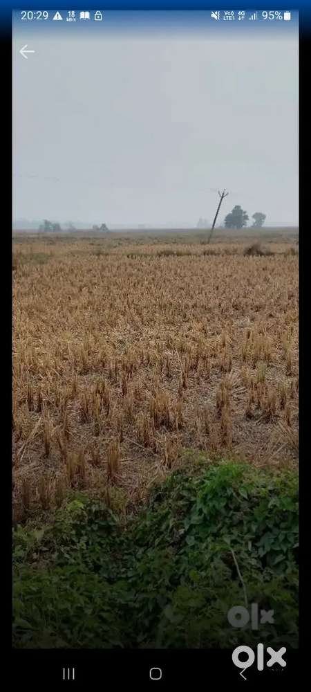 Land available for sell