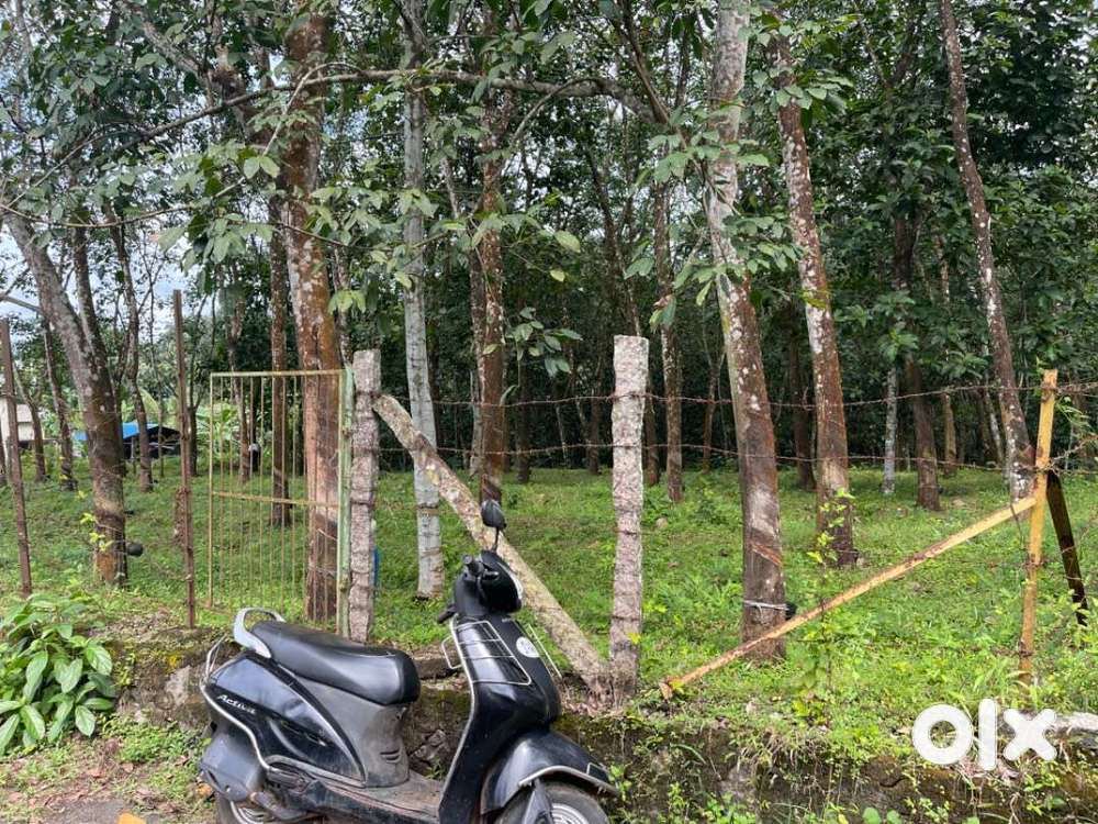 50 cent Rubber plot for sale