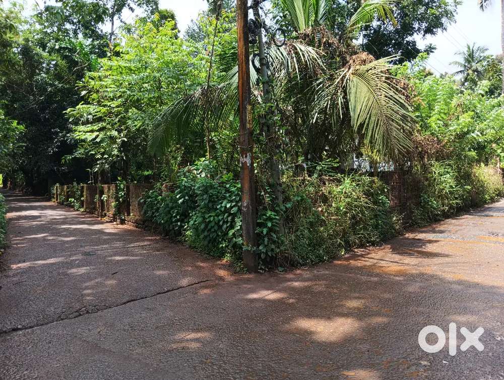 Plot for Sale - Residential