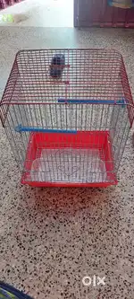Love  birds cage available for sale