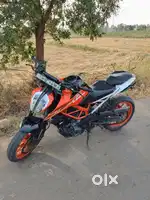 2017 model