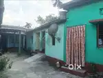 10lesa miyadi patta lane for sale