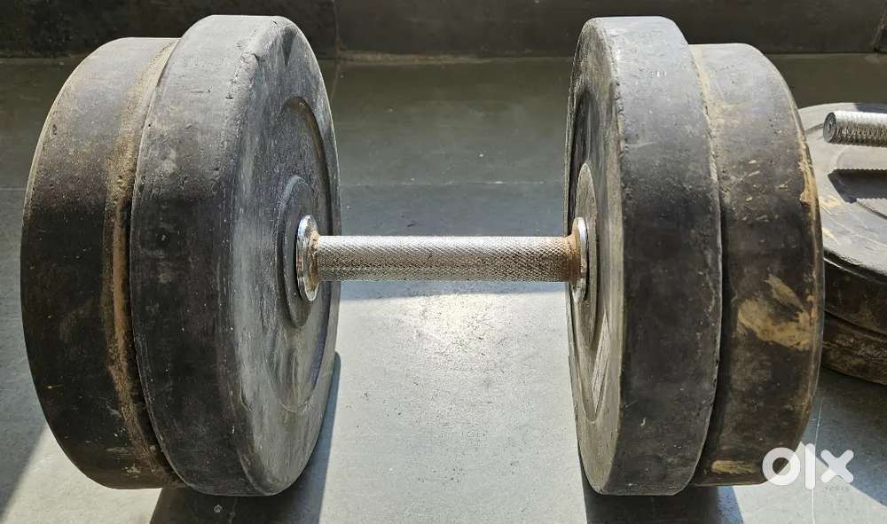 12.5 KG Dumbbells